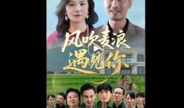 相逢 在线观看,一场跨越时空的邂逅在线观看之旅